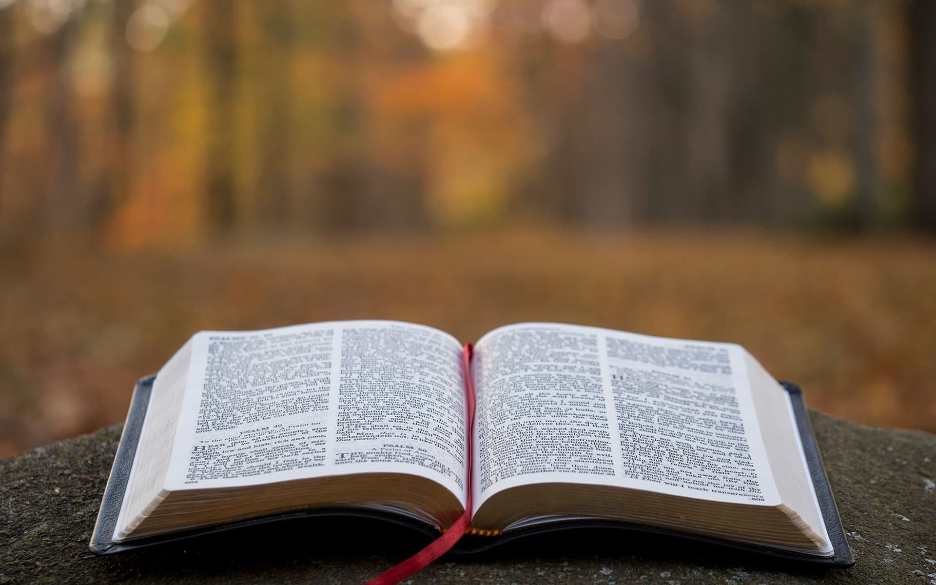 Ministerial Development